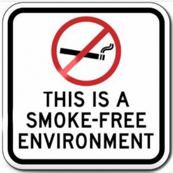 Michel Design Works Baby’s First Plate Set Feeding Boxed Plaid Set Green White - Picture 12 of 16